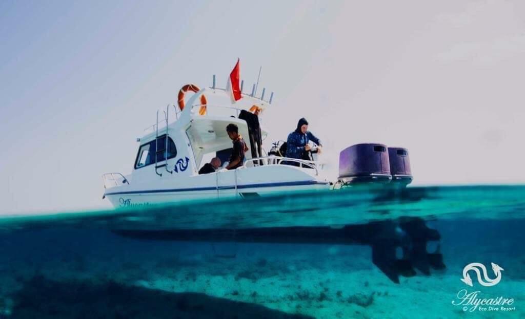 Eco Dive Resort Alycastre Maumere Exteriér fotografie